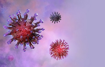 Coronavirus under a microscope